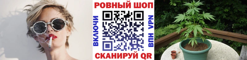 Где купить Кашин Гашиш KRAKEN зеркало КЕТАМИН А ПВП МЕФ Cocaine Каннабис