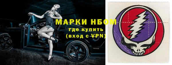 стаф Алексин
