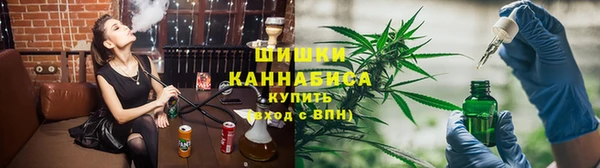 индика Алзамай