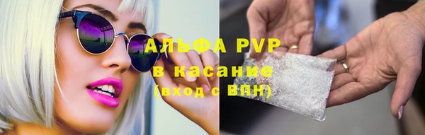 стаф Алексин