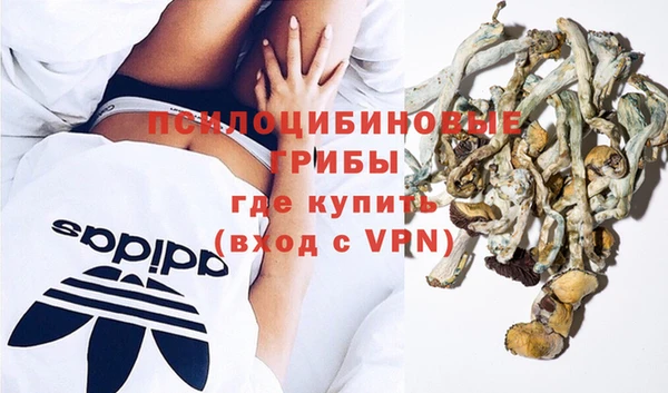 стаф Алексин