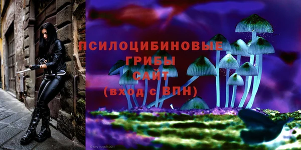 стаф Алексин
